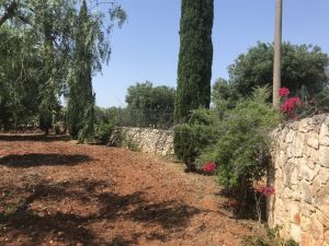 IMG_7816_FILEminimizer