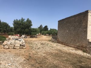IMG_7822_FILEminimizer