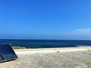 IMG_8366_2_FILEminimizer
