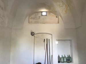 IMG_8475_FILEminimizer