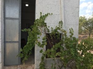 IMG_8482_FILEminimizer