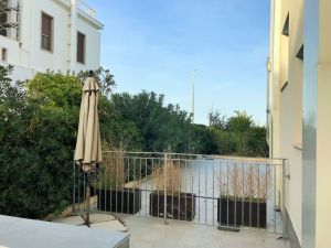IMG_8621_2_FILEminimizer