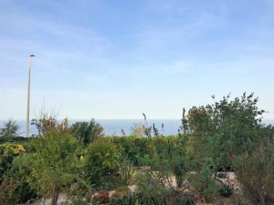 IMG_8622_2_FILEminimizer