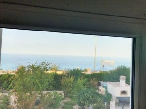 IMG_8630_2_FILEminimizer