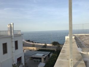 IMG_8644_FILEminimizer