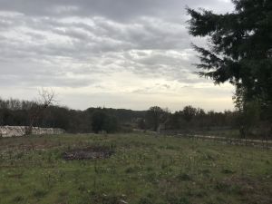 IMG_8802_FILEminimizer