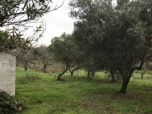 IMG_8855_FILEminimizer