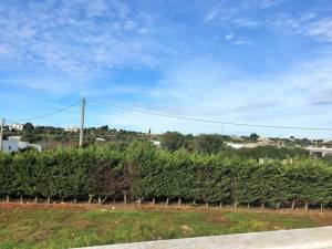 IMG_8917_2_FILEminimizer_original_copy_3