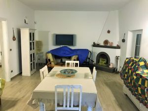 IMG_8937_2_FILEminimizer
