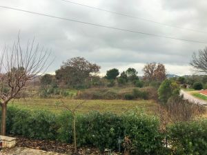 IMG_8956_2_FILEminimizer