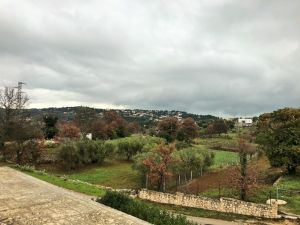 IMG_8970_2_FILEminimizer