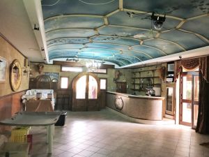 IMG_9370_2_FILEminimizer