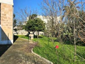 IMG_9482_2_FILEminimizer_original_copy_3