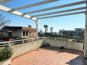 IMG_9498_2_FILEminimizer_original_copy_3