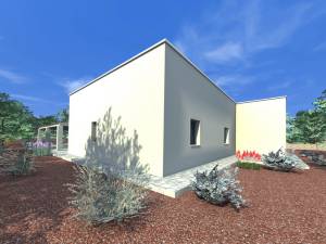 WhatsApp_Image_2026-03-02_at_11.44.22_1_original