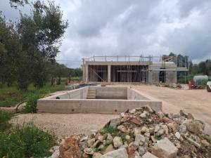 WhatsApp_Image_2026-03-02_at_11.44.34_1_original