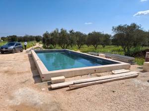 WhatsApp_Image_2026-03-22_at_08.53.51_4_original_copy_1_copy_2