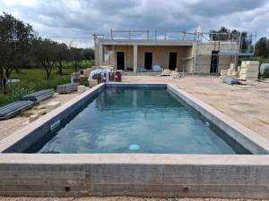 WhatsApp_Image_2026-03-22_at_08.53.51_original_copy_1_copy_2