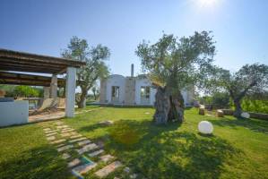 WhatsApp_Image_2026-09-16_at_12.40.25-1_FILEminimizer_original